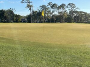 The Green at the Par 3 16th at Sara Bay CC